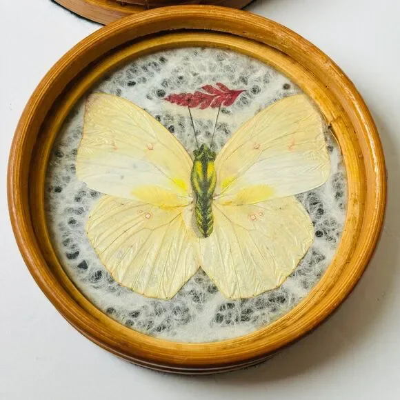 Set 6 Vintage Wood Coasters Pressed Butterflies 1970s Boho Wicker Rattan‎ - Picture 10 of 13